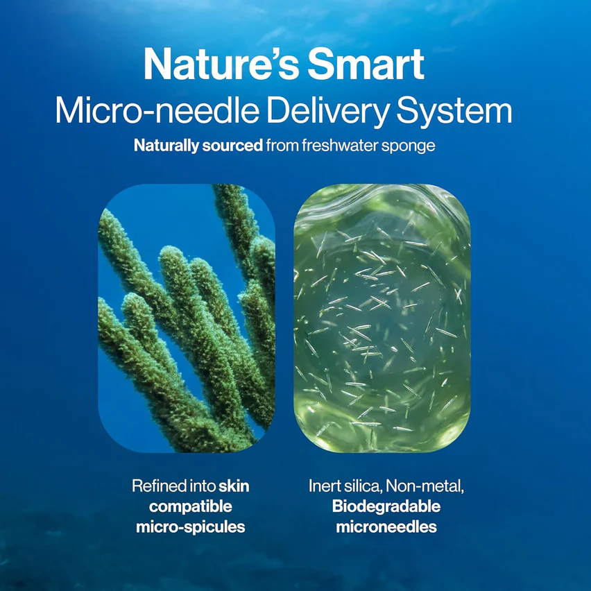 Hair Density Roll-On — Follicle Reactivation Support